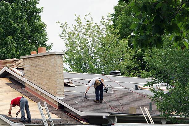 Best Gutter Installation and Roofing  in Monticello, MN