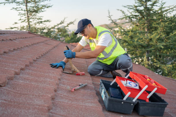 Best Roof Maintenance Services  in Monticello, MN